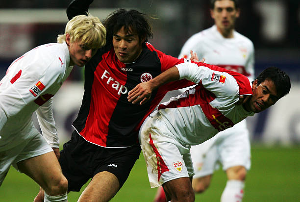 在明年休赛 在明年休赛